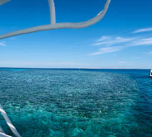 Delfin Tour Makadi Bay