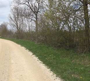 Vulkankrater-Rundweg Apfelstetten