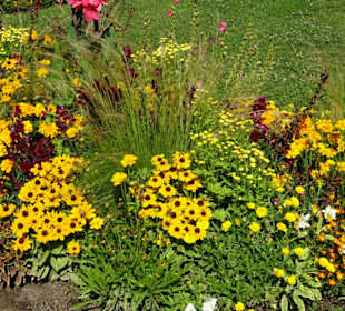 Gartenschau Eppingen