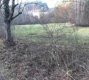 Schönbuch Schaichtal