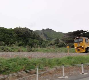 Typowy krajobraz w matamata