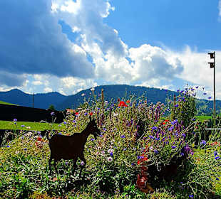 Seppl's Gartenwirtschaft