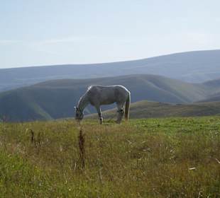 Горы Кавказа