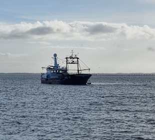 Krabbenkutter bei Hörnum 