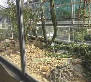 Botanischer Garten