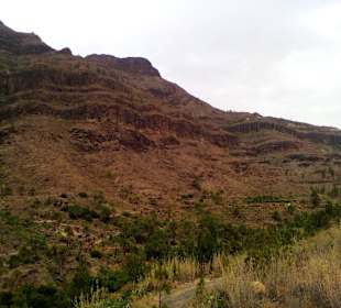 Fataga Tal in Fataga