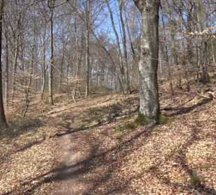 Geologischer Lehrpfad Kirnbachtal