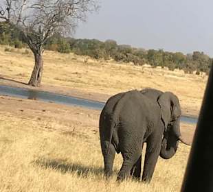 Hwange NP