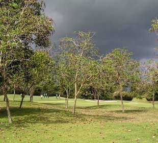 Phoenix Golf Club, Pattaya