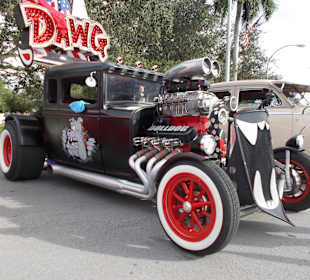 Black Bulldog, Kissimmee