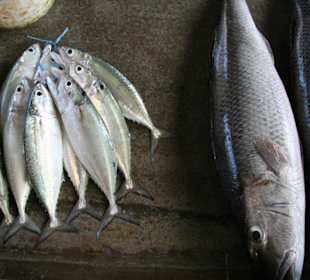 Mahé, Sir Selwyn Selwyn Clarke Market