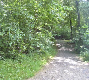 Spaziergang im Palaisgarten