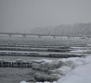 Winterpracht am Strand