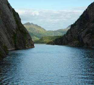 Natur pur auf dem Postschiff " MS Vesteralen"!