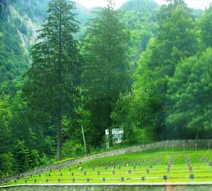 Auf Ösi-Seite, Friedhof immer offen