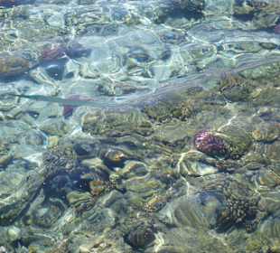 Schnorcheln Marsa Alam