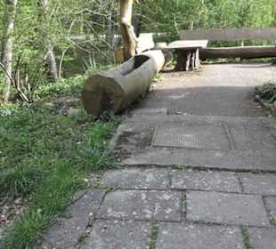 Barfußpfad Firstwald