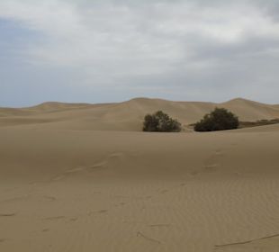 Dünen Maspalomas