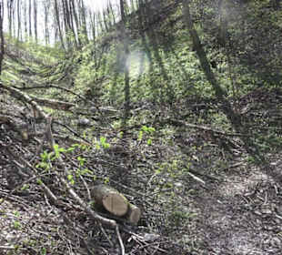 Wanderweg Hochgehkämpft