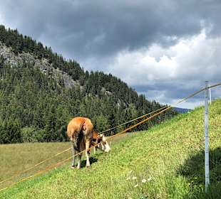 Wandern Reith im Alpbachtal
