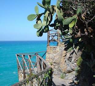 Cinque Terre Wanderweg