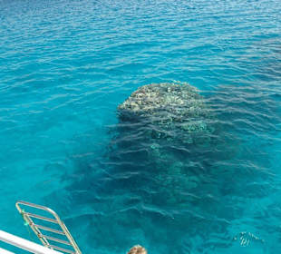 Tauch- und Schnorcheltour