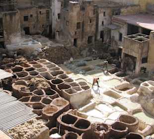 Fes Färberviertel/Gerberv.