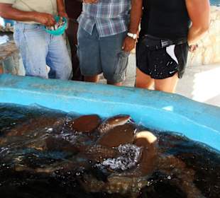 Im Meereskundemuseum