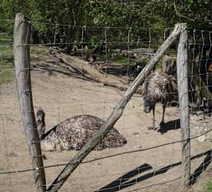 Zoo Arche Noah Grömitz