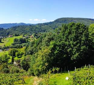 Blick zum Greimkogel