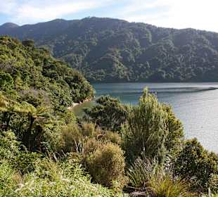 Weg zur Furneaux Lodge