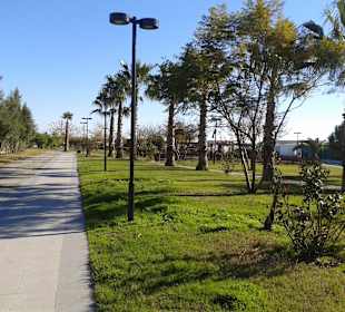 Hier ist es einfach schön