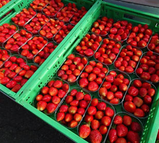 Eindrücke vom Meraner Freitagsmarkt