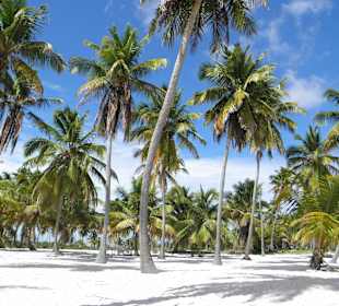 Traumstrand Saona - Bade-Schnorchelstop