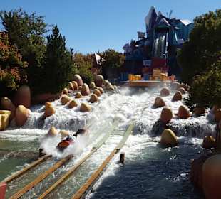 Universal Studios Florida