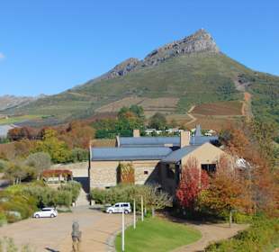 Weingut Tokara in Stellenbosch