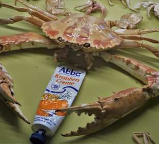 Rundgang durch das Muschelmuseum Wremen