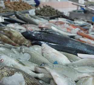 Fischmarkt in Abu Dhabi