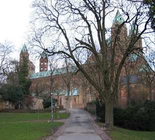 Seitenansicht