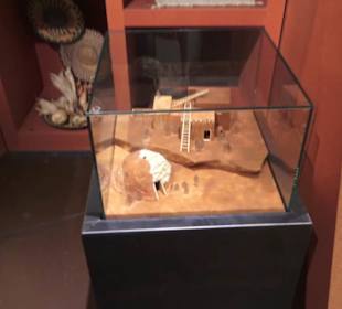 Nordamerika Native Museum