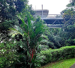 Fort Siloso Skywalk