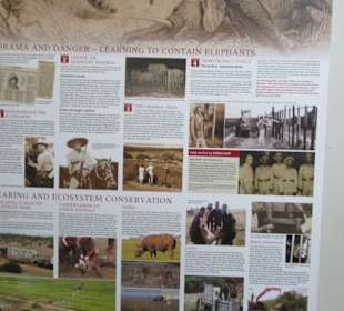 Im Addo Elefantenpark