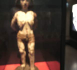 Rheinisches Landesmuseum