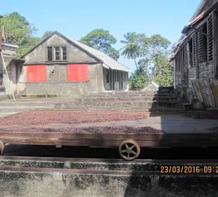 Anlage Dougladsto Estate Gewürzfabrik