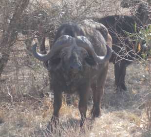 Der Namensgeber des Organisators 