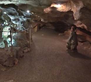Nebelhöhle