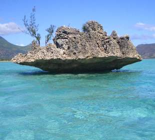 coconut-island