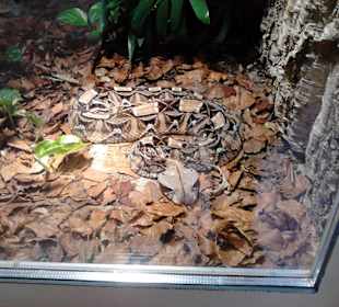 Tierpark Hellabrunn in München