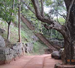 Gartenanlage Sigiriya Felsen