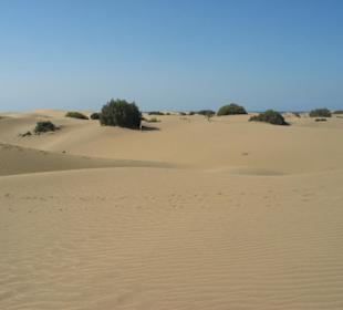 Wydmy w Maspalomas